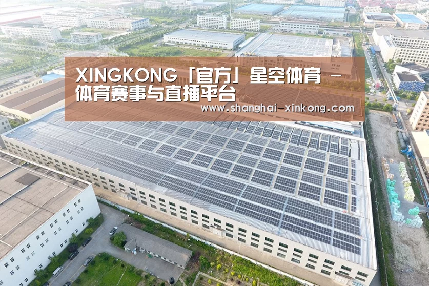 案例展示二