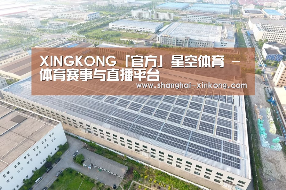 案例展示三