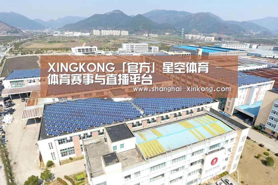 案例展示三